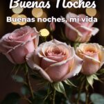 buenas noches buenas noches, mi vida
