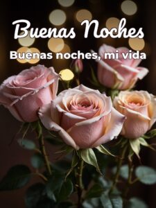 Dedicatoria de buenas noches para mi amor