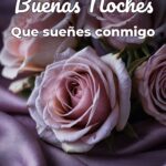 buenas noches que sueñes conmigo