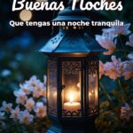 buenas noches que tengas una noche tranquila
