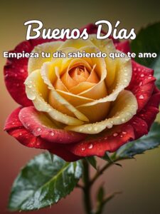 Dedicatorias buenos días amor para WhatsApp