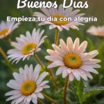 buenos días empieza tu día con alegría