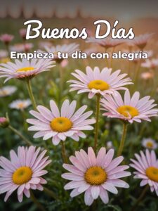 Dedicatorias buenos días para Facebook