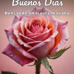 buenos días pensando en ti esta mañana