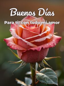 Dedicatorias de buenos días para enamorar para celular
