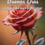 buenos días un buen día para ti, mi amor
