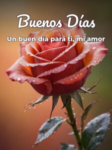 Dedicatorias de buenos días para enamorar para una amiga