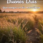 buenos días que tengas un día maravilloso