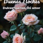buenas noches dulces sueños, mi amor