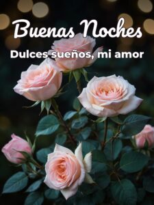 Descansa amor mio buenas noches