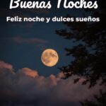 buenas noches feliz noche y dulces sueños