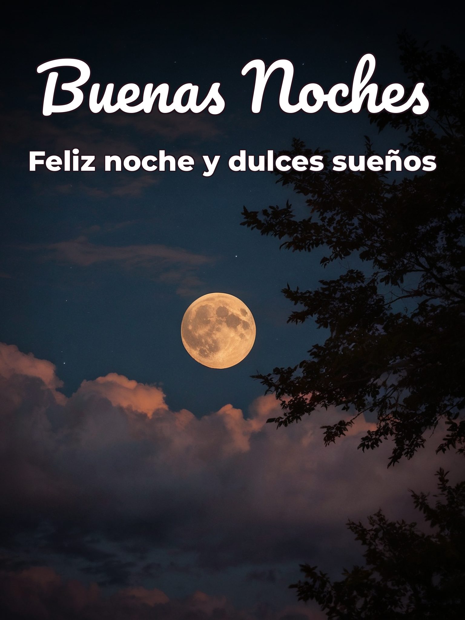 Descargar imágenes bonitas de buenas noches para WhatsApp