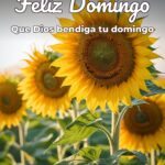 feliz domingo que dios bendiga tu domingo