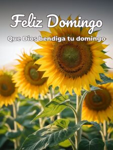 Descargar imágenes de domingo para celular