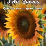 feliz jueves que hoy sea un gran jueves
