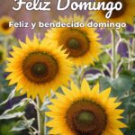feliz domingo feliz y bendecido domingo