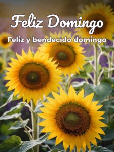 Descargar imágenes grande de feliz domingo para celular