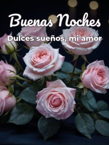 Desear buenas noches a mi amor