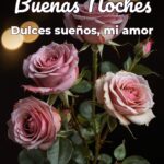 buenas noches dulces sueños, mi amor
