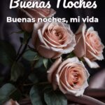 buenas noches buenas noches, mi vida
