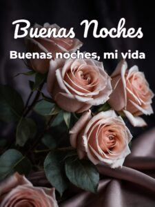 Desear buenas noches a un amor para Facebook