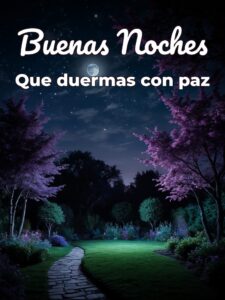 Desear buenas noches para celular