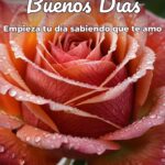 buenos días empieza tu día sabiendo que te amo
