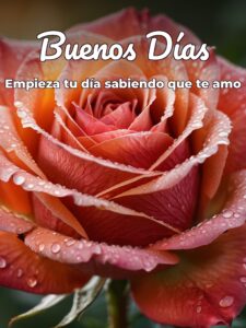 Desear buenos días a mi novio para WhatsApp