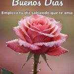 buenos días empieza tu día sabiendo que te amo