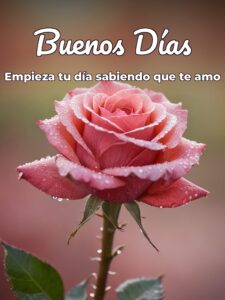 Desear buenos días con amor para Facebook