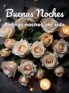 Desearle buenas noches a mi novia para WhatsApp