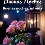 buenas noches buenas noches, mi vida