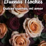 buenas noches dulces sueños, mi amor