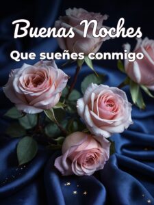 Deseos de buenas noches para mi amor para WhatsApp