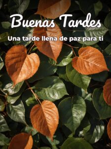 Deseos de buenas tardes para Facebook y WhatsApp