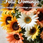 feliz domingo que tengas un domingo maravilloso