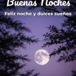 buenas noches feliz noche y dulces sueños