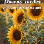 buenas tardes disfruta de esta hermosa tarde