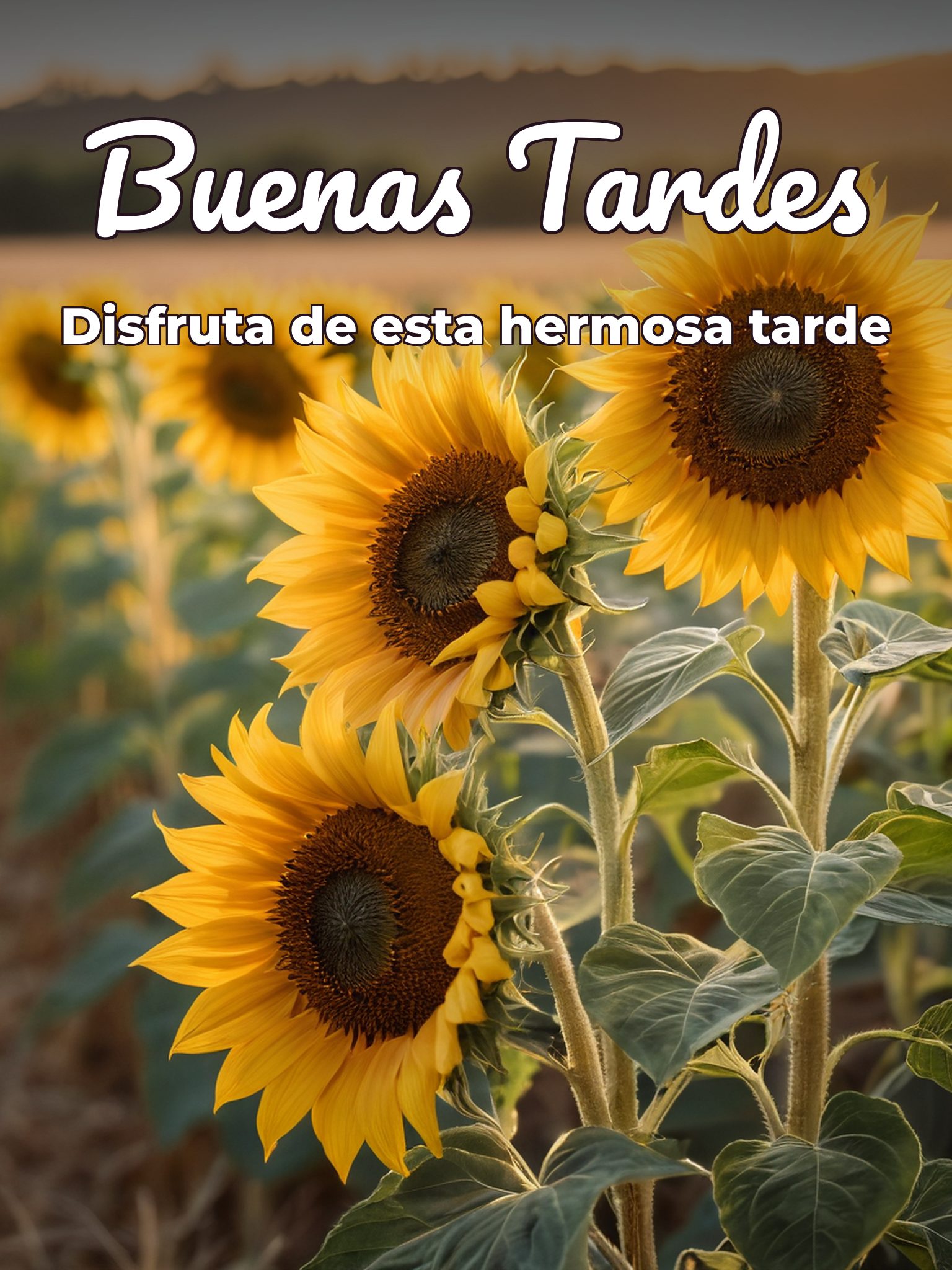 Dibujos de buenas tardes para Facebook y WhatsApp