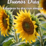 buenos días empieza tu día con alegría