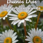 buenos días que hoy sea un gran día