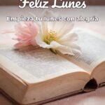 feliz lunes empieza tu lunes con alegría