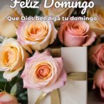 feliz domingo que dios bendiga tu domingo