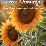 feliz domingo que dios bendiga tu domingo