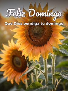 Domingo con frases para celular