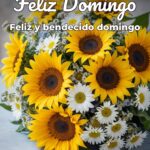 feliz domingo feliz y bendecido domingo
