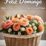 feliz domingo que tengas un domingo maravilloso