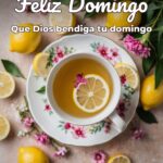 feliz domingo que dios bendiga tu domingo