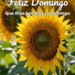 feliz domingo que dios bendiga tu domingo