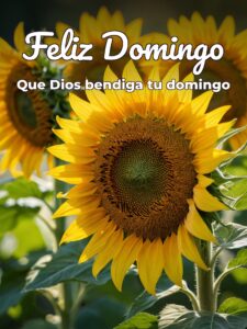 Domingo feliz día para WhatsApp